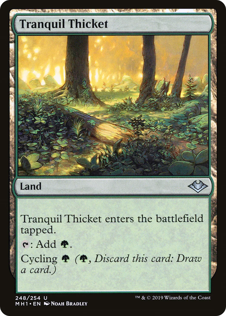 Tranquil Thicket (MH1-248)  - Modern Horizons