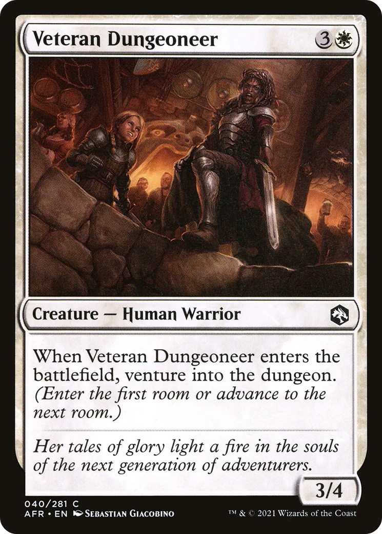 Veteran Dungeoneer (AFR-040)  - Adventures in the Forgotten Realms